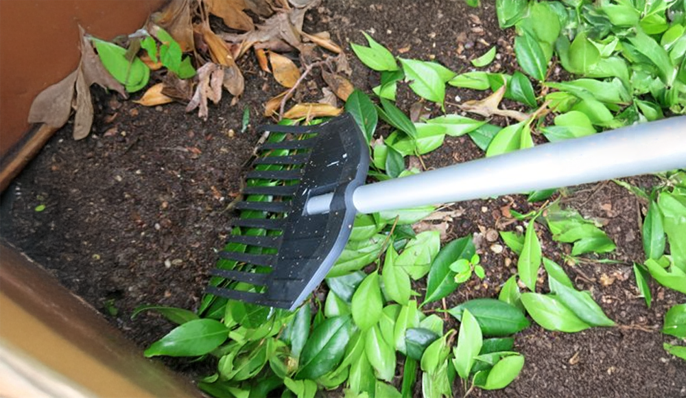 Springtime, Clean-up and Prep. / Ready, Set, Grow