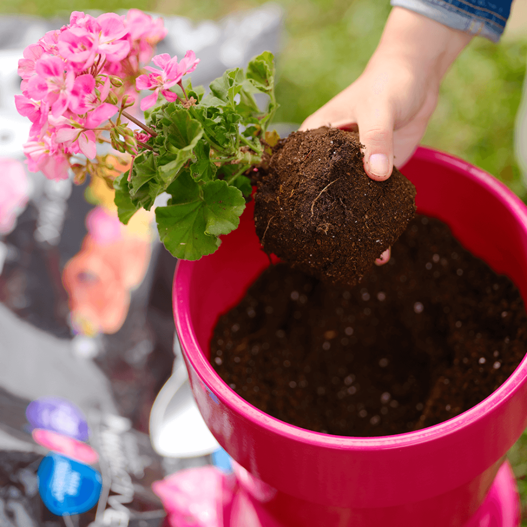 Soil