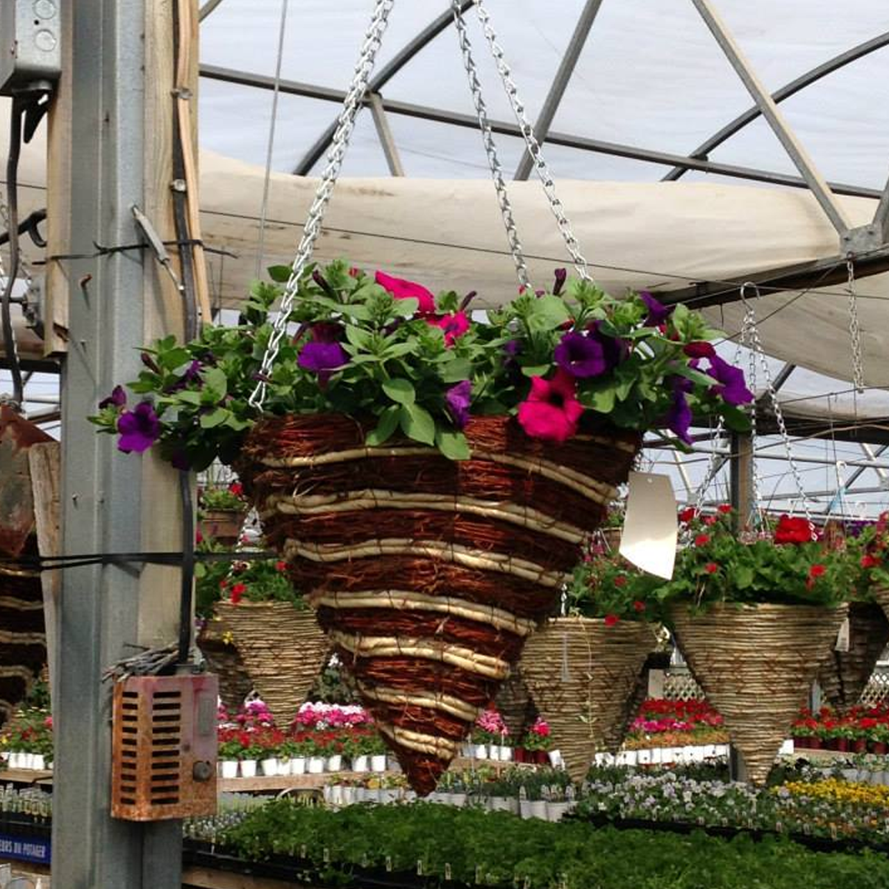 Paniers de fleurs (styles assortis)