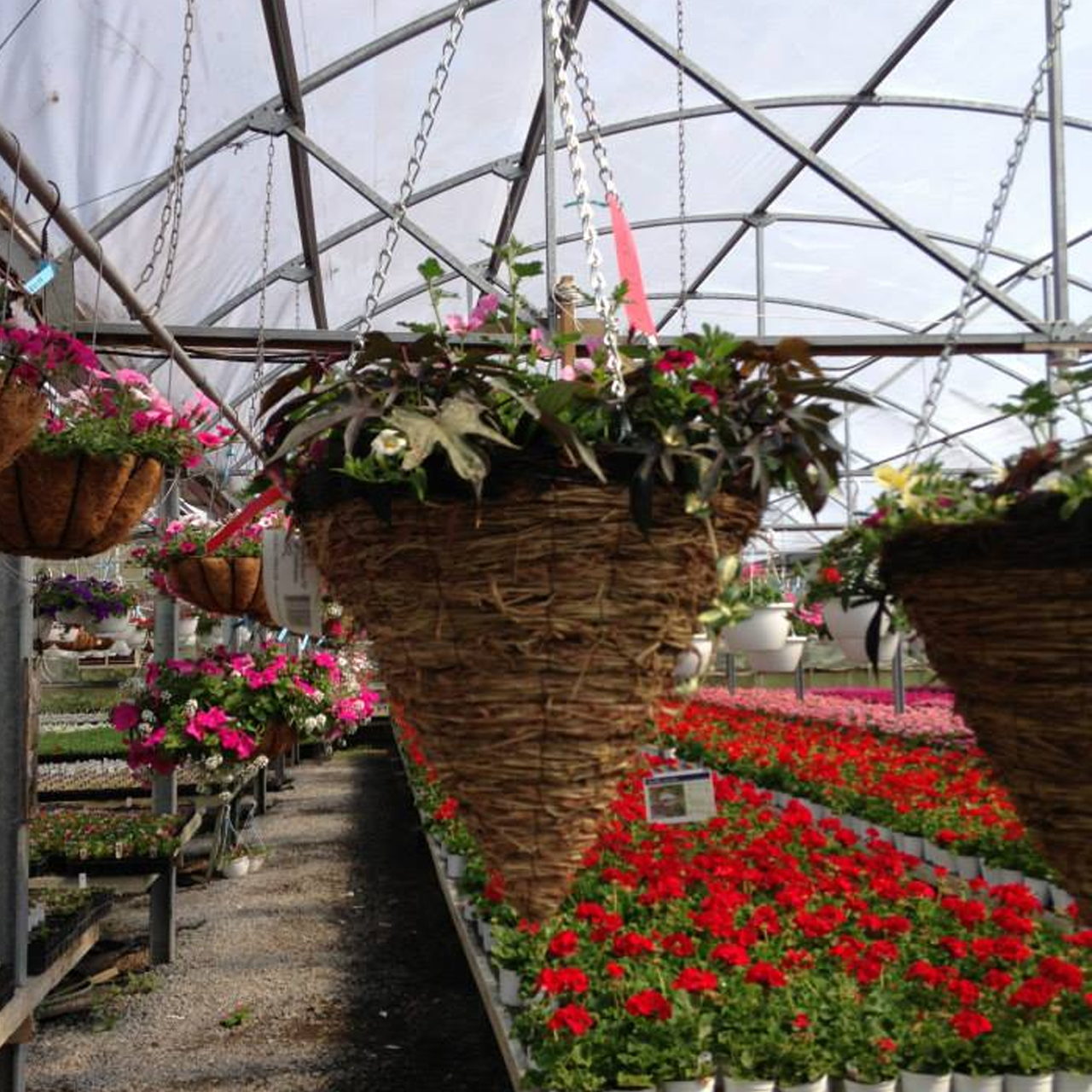 Paniers de fleurs (styles assortis)