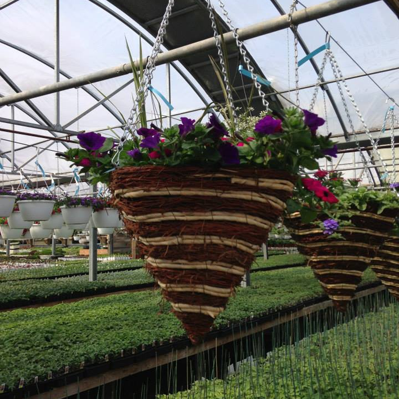 Paniers de fleurs (styles assortis)