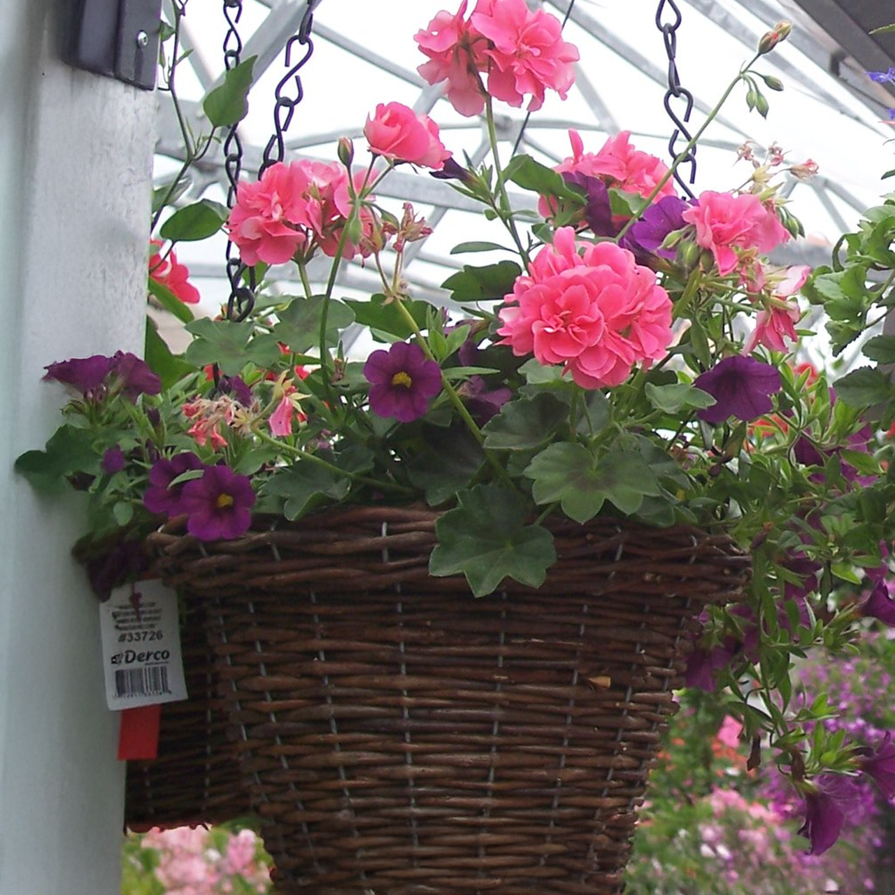 Paniers de fleurs (styles assortis)