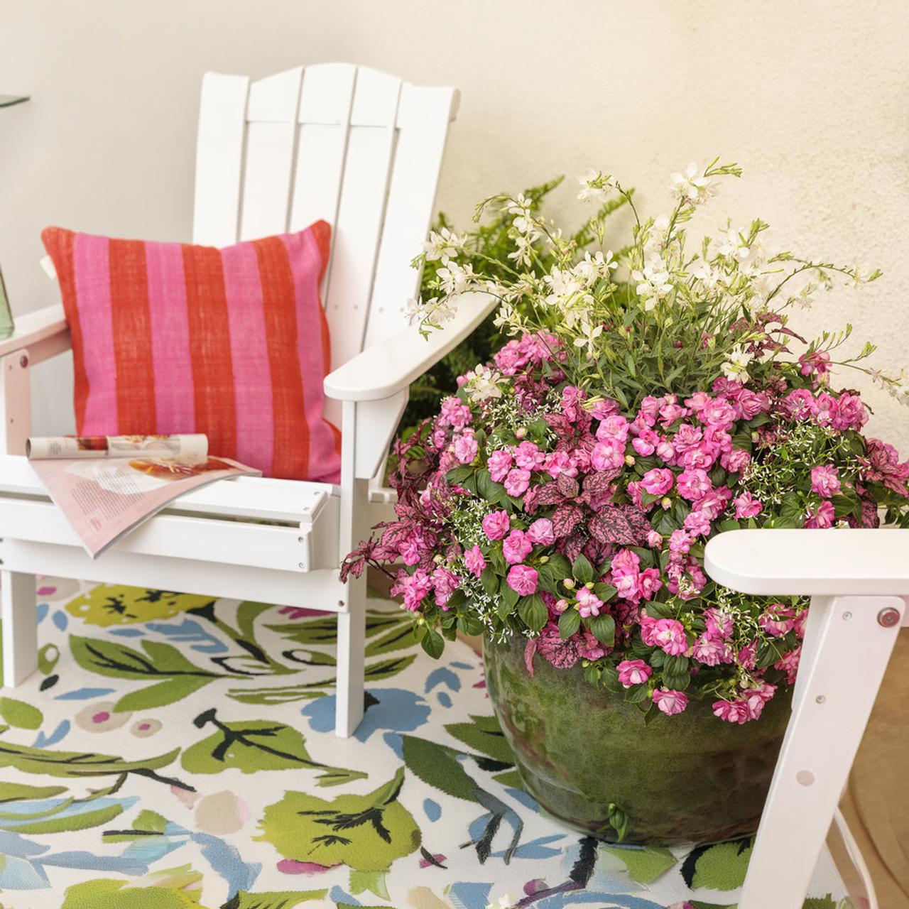 Proven Winners - Impatiens Double Rockapulco Rose | Pot de 12,7 cm